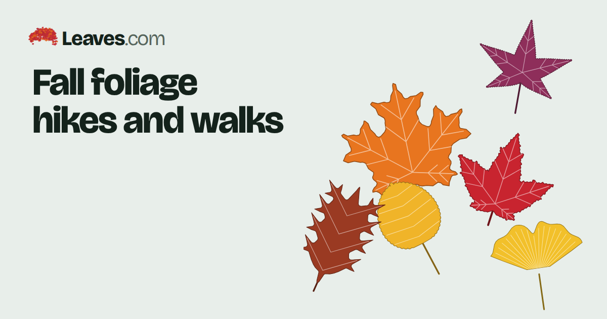 Fall foliage hikes and walks: guided and self-guided tips – Leaves.com
