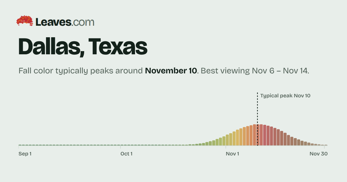 Dallas, TX fall foliage 2026: peak date and forecast – Leaves.com